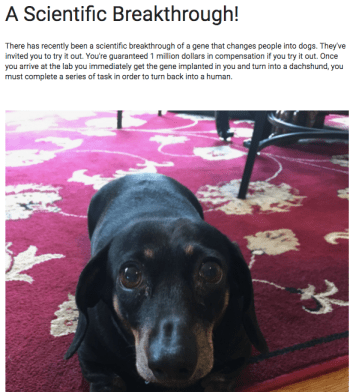 Screen Shot 2017-05-15 at 2.46.44 PM